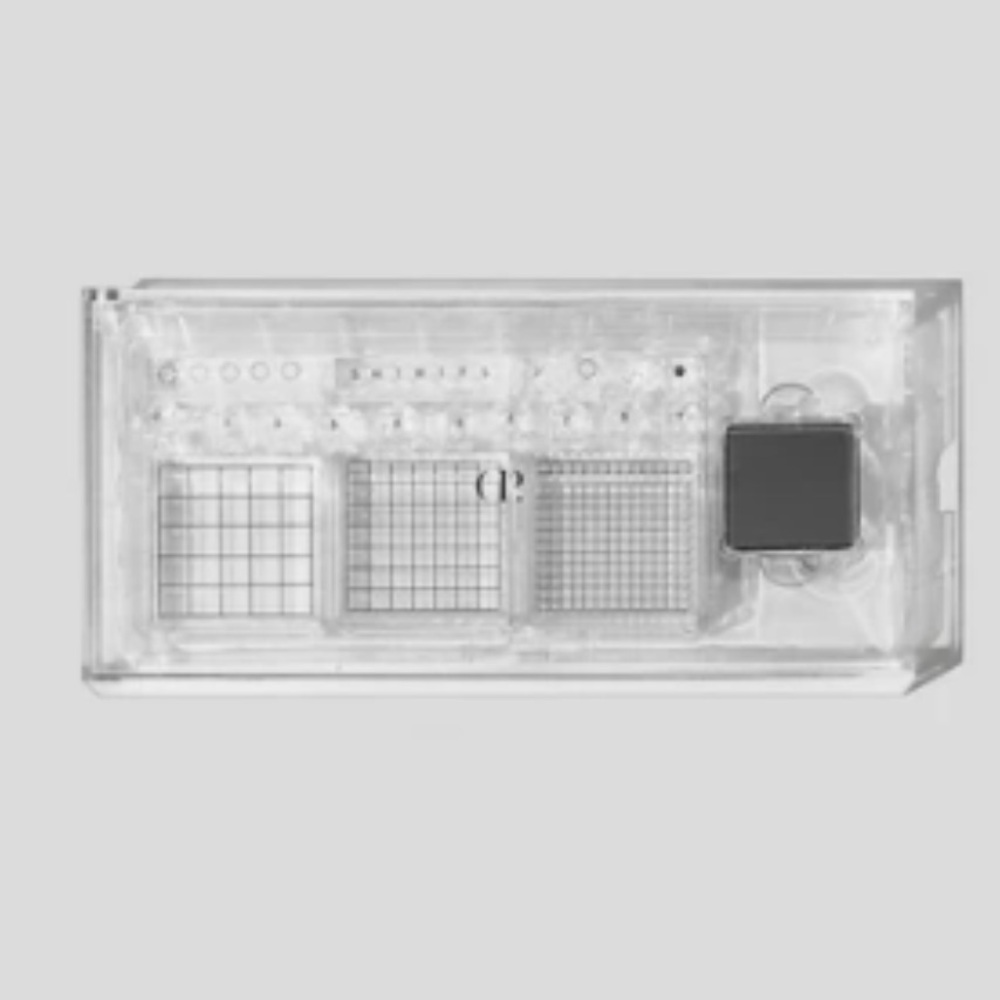Cloth & Paper Acrylic Graph Stamp Set
